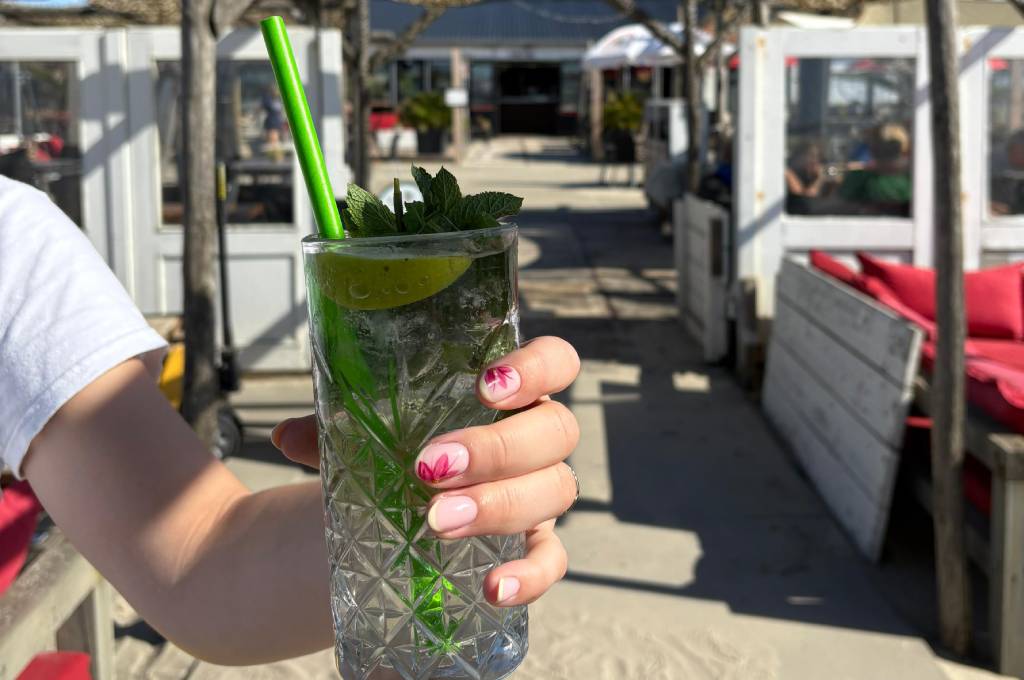 Borrel op het Strand in Hoek van Holland